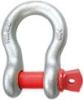 US TYPE SHACKLE G209 