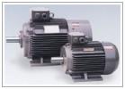 Y2 series squirrel cage three-phase induction motors