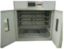 HXA-528-type micro-computer automatic incubator machine