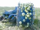 4JT-500 Melon/Gourd Picking and Threshing Combind Harvester