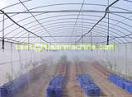 Micro-sprinkler irrigation-2